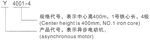 西安泰富西玛Y系列(H355-1000)高压YKS5602-8三相异步电机型号说明