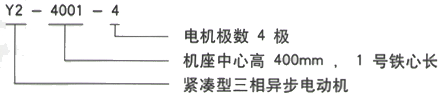 YR系列(H355-1000)高压YKS5602-8三相异步电机西安西玛电机型号说明